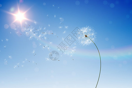 数字生成的蓝天花朵计算机晴天阳光生长种子自由绘图彩虹背景图片