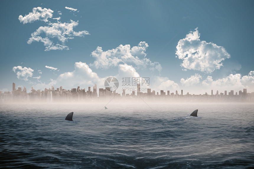 鲨鱼渗入海面的地平线上的城市景色图片