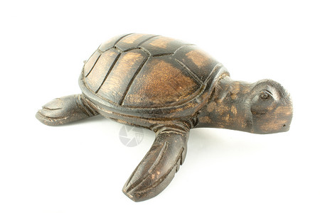 海龟雕刻雕像艺术动物材料玩具白色工艺雕塑产品背景图片