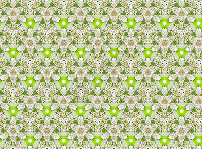 花卉背景插图白色绿色剪辑植物花瓣马赛克瓷砖区系背景图片