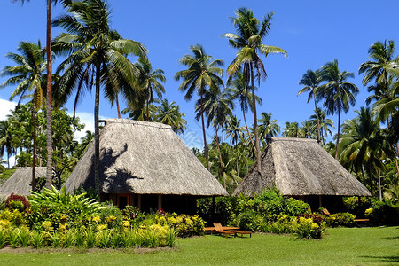 萨武蒂斐济Vanua Ledu岛 用戴着高屋顶的传统堡床蓝色棕榈旅行海岸村庄房子天空布雷港口茅草背景