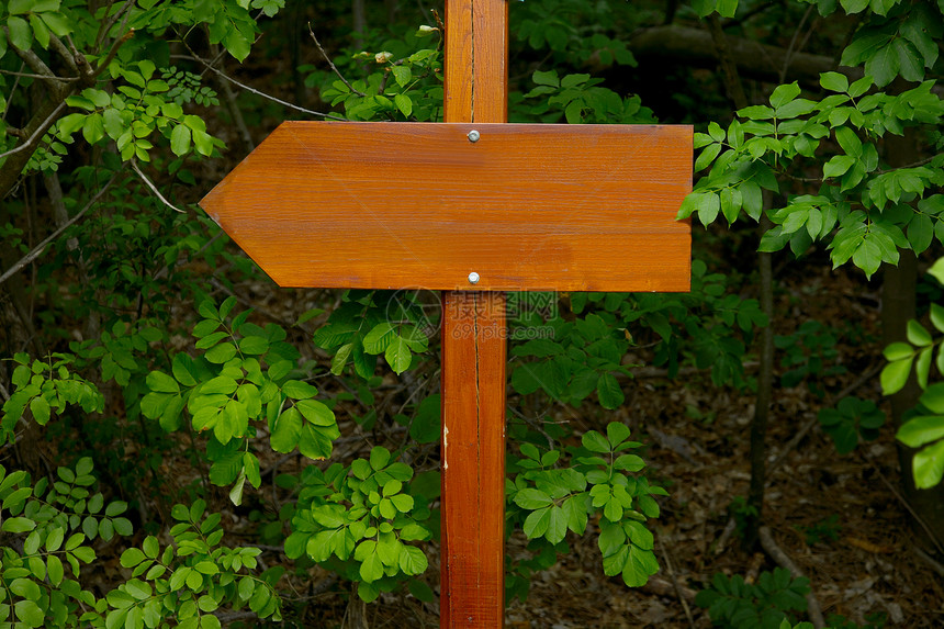 方向标志柱子展示山脉森林招牌木板娱乐邮政路标远足图片