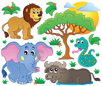 2个大象素材非洲可爱动物2类收集 2类插画