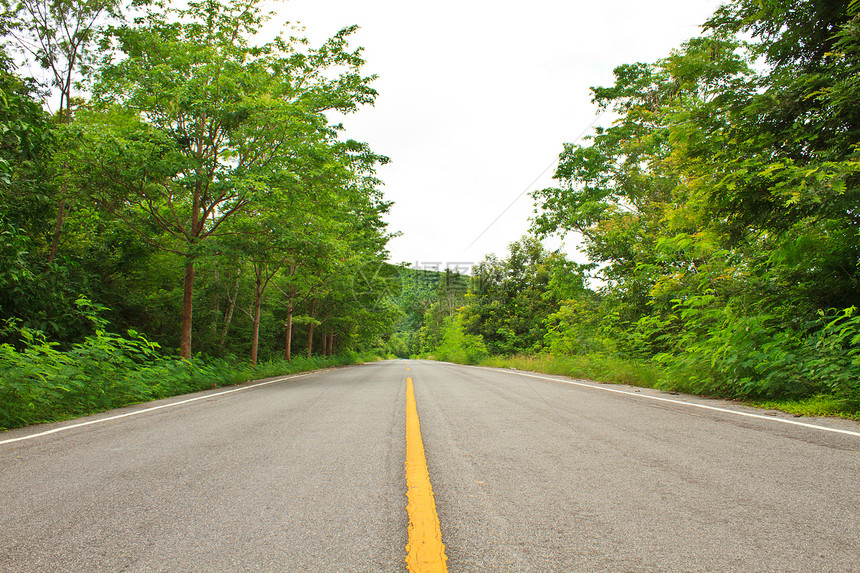 森林道路全景乡村牧场林道小路土地曲线树木活力爬坡图片