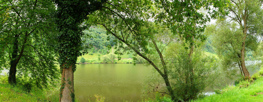 绿色摩泽尔河谷图片