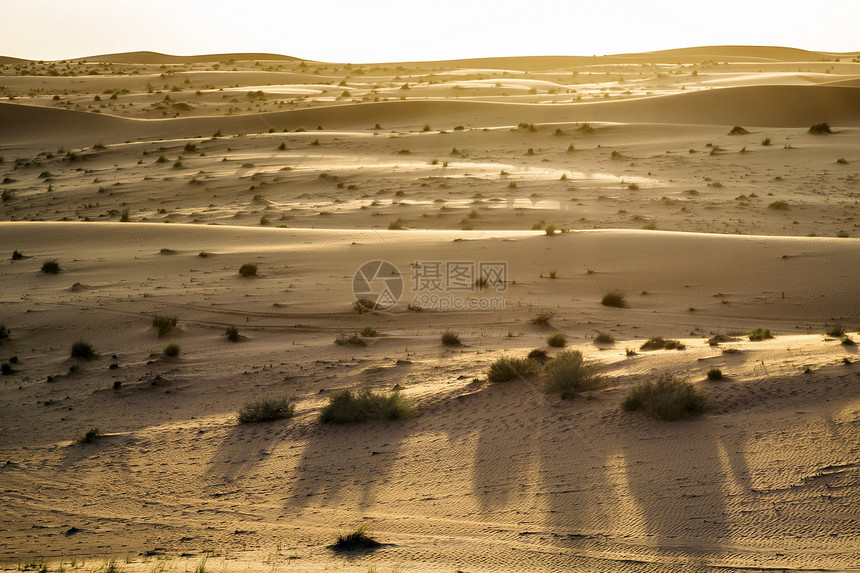 阿曼沙漠之夜的情绪图片