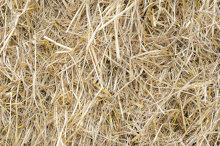 大米稻草泥淡黄色稻草色背景图片