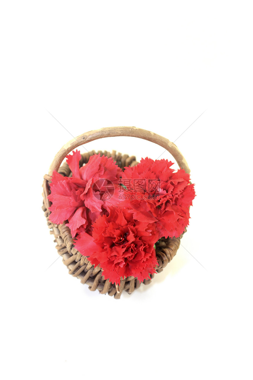红康乃馨在篮子中开花图片