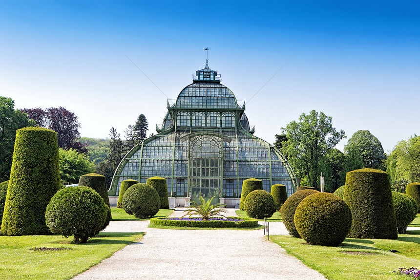 维也纳Shonbrunn宫殿附近的植物园棕榈园艺玻璃地标建筑学温室植物群公园房子旅行图片