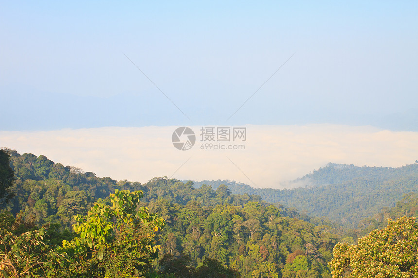 以森林为前景的雾大海木头全景环境季节旅行天空蓝色橙子公园天气图片