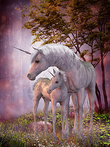 独角兽马和福尔小马动物故事喇叭家畜森林童话骏马寓言马力背景图片