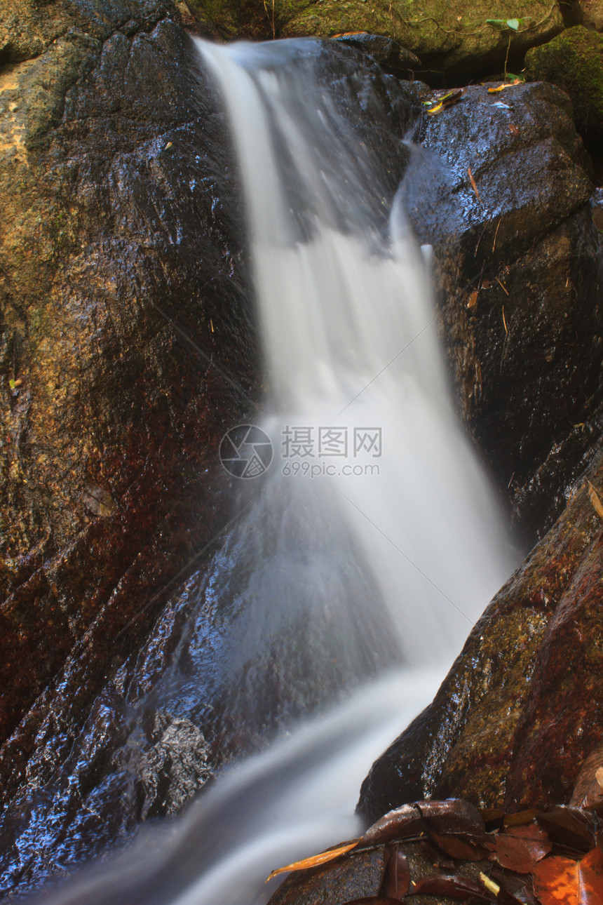 深森林自然瀑布苔藓季节池塘溪流公园热带岩石环境旅行丛林图片