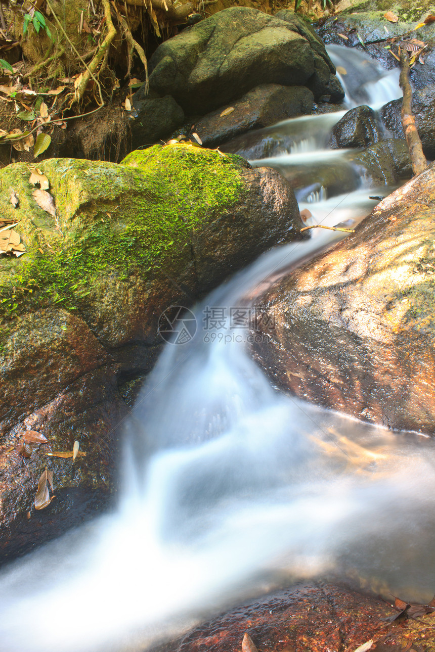 深森林自然瀑布公园叶子丛林旅行石头反射运动季节热带溪流图片