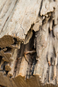 碎裂原木木头日志裂缝木材树干背景图片