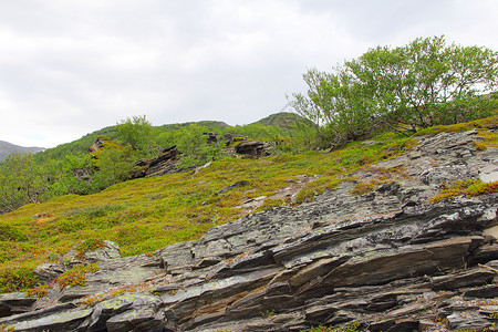 地质岩石层巨石石板地标地面矿物环境苔藓悬崖峡谷地质学背景