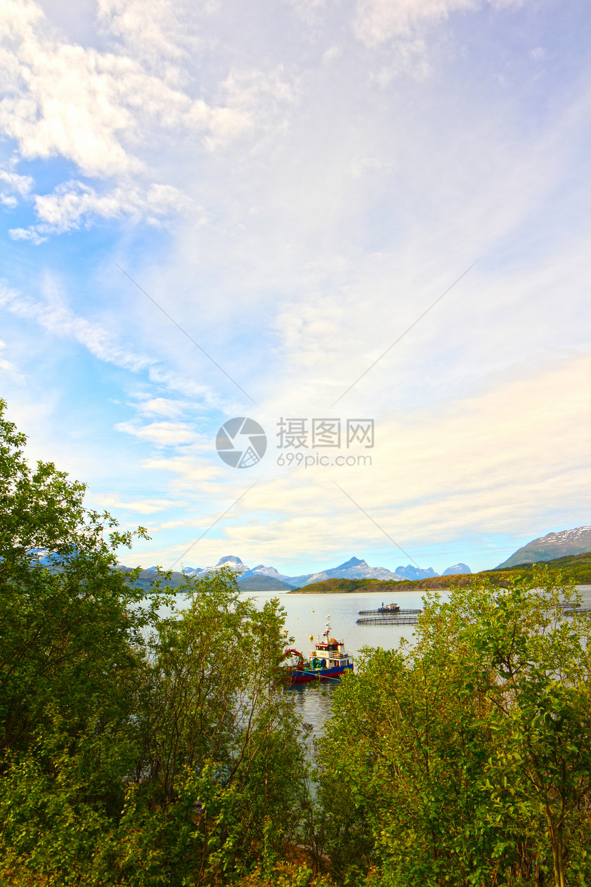 挪威北部地貌景观顶峰苔原海岸线海洋森林松树场景岩石苔藓风景图片