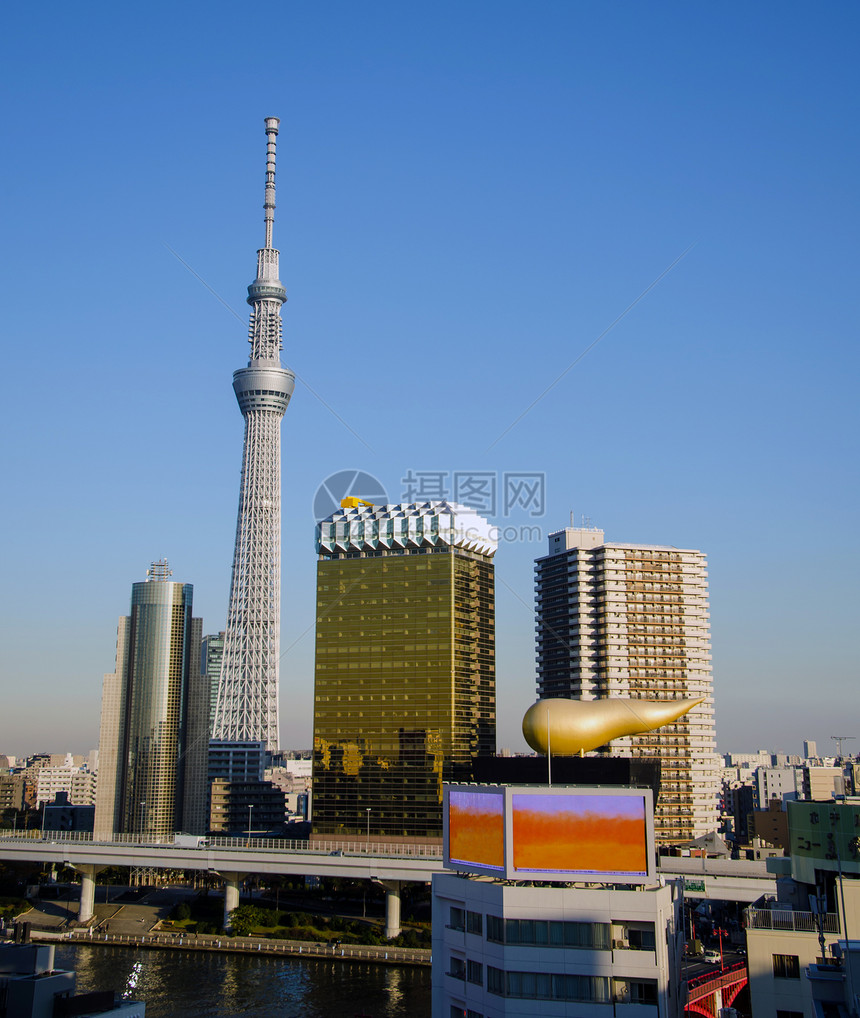 从东京浅草摩天大楼观看的东京天空树图片