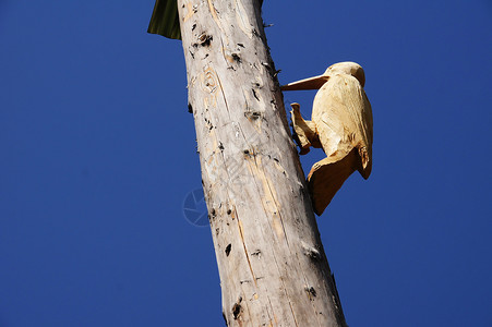 木树干鸟类雕刻品木鸟木杆雕刻木头背景图片