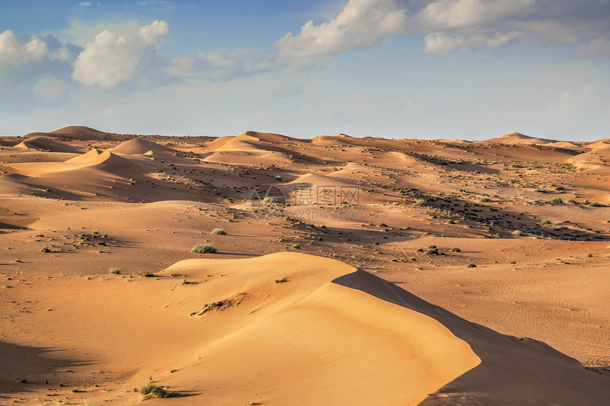 瓦希巴阿曼沙漠旱谷蓝色植物衬套沙丘灌木丛绿色假期天空旅行图片