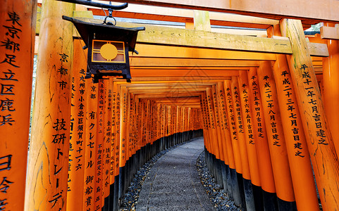 伏见神社盖茨寺庙高清图片