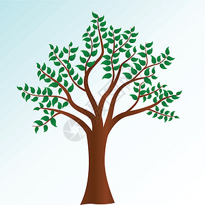 矢量树绘画天空橡木艺术程式化绿色叶子树干棕色树木背景图片