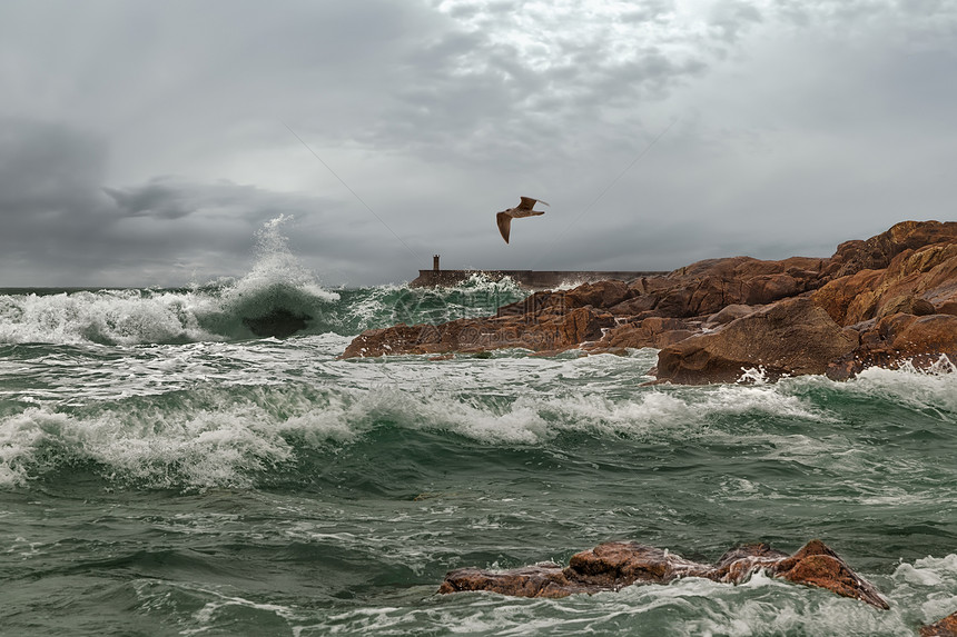 风暴港旅行海浪海景码头火花流动鸟类岩石堡垒支撑图片