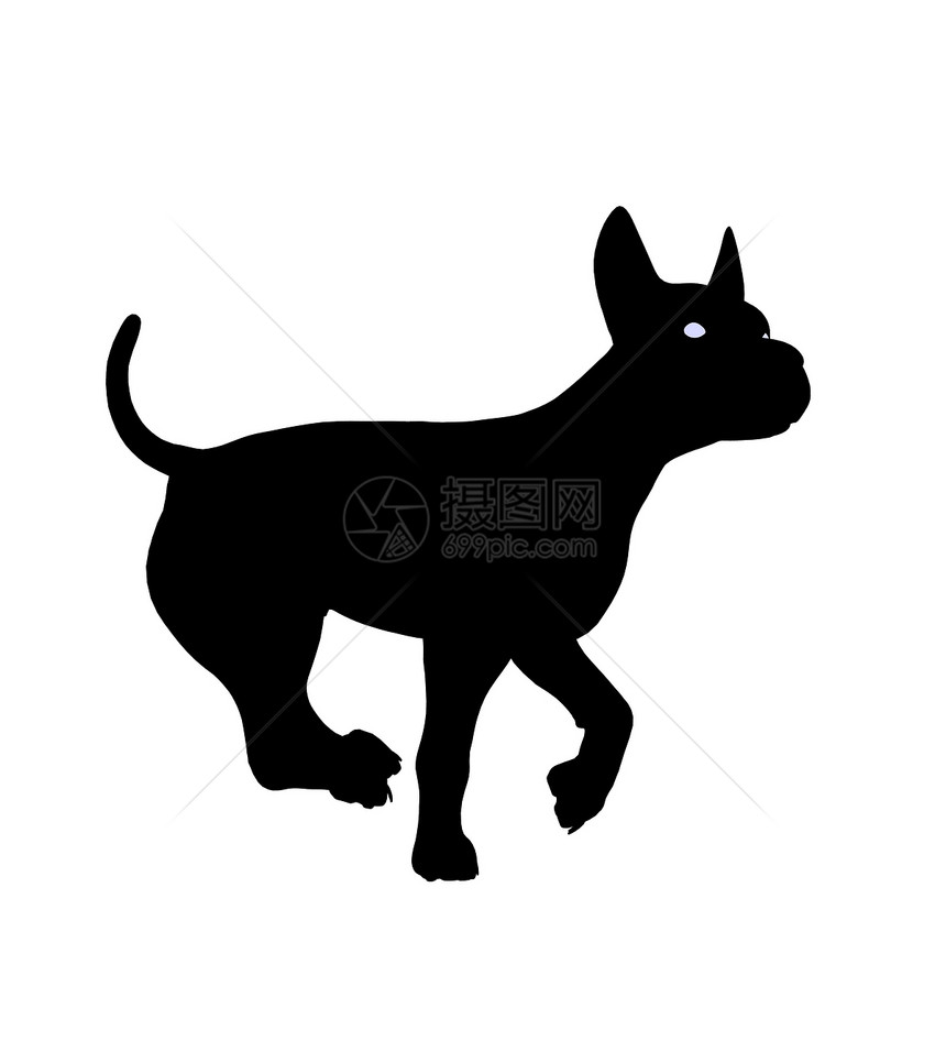 狗狗说明Silhouette小狗动物犬类花花公子插图剪影图片