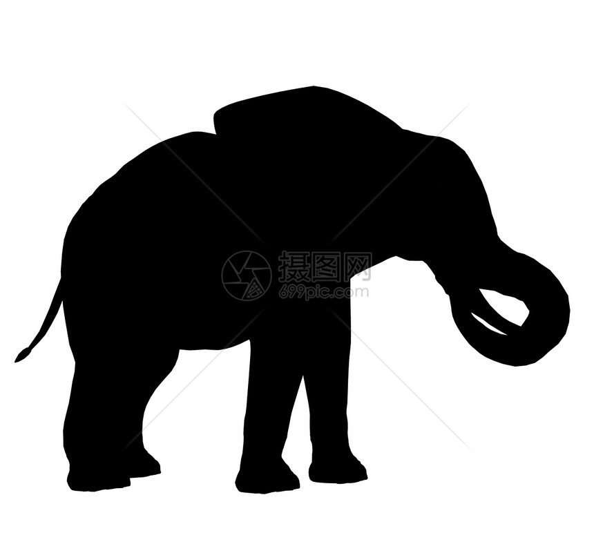 大象 说明 Silhouette长毛插图动物园獠牙剪影艺术哺乳动物动物图片