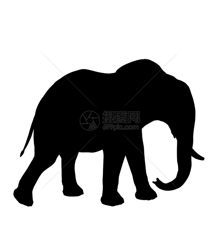 大象 说明 Silhouette獠牙动物插图艺术剪影动物园哺乳动物长毛图片