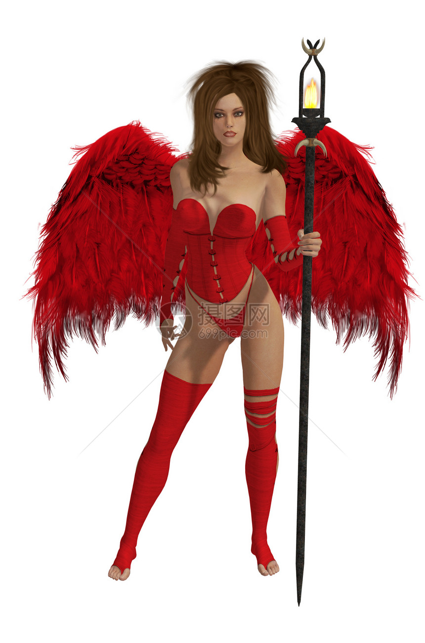 红翼天使与布露特毛发图片