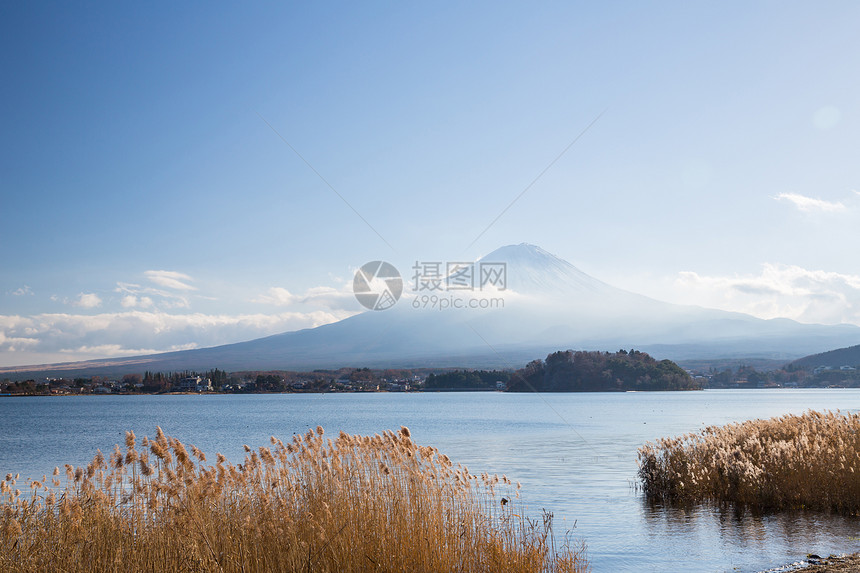 藤田川口果湖图片