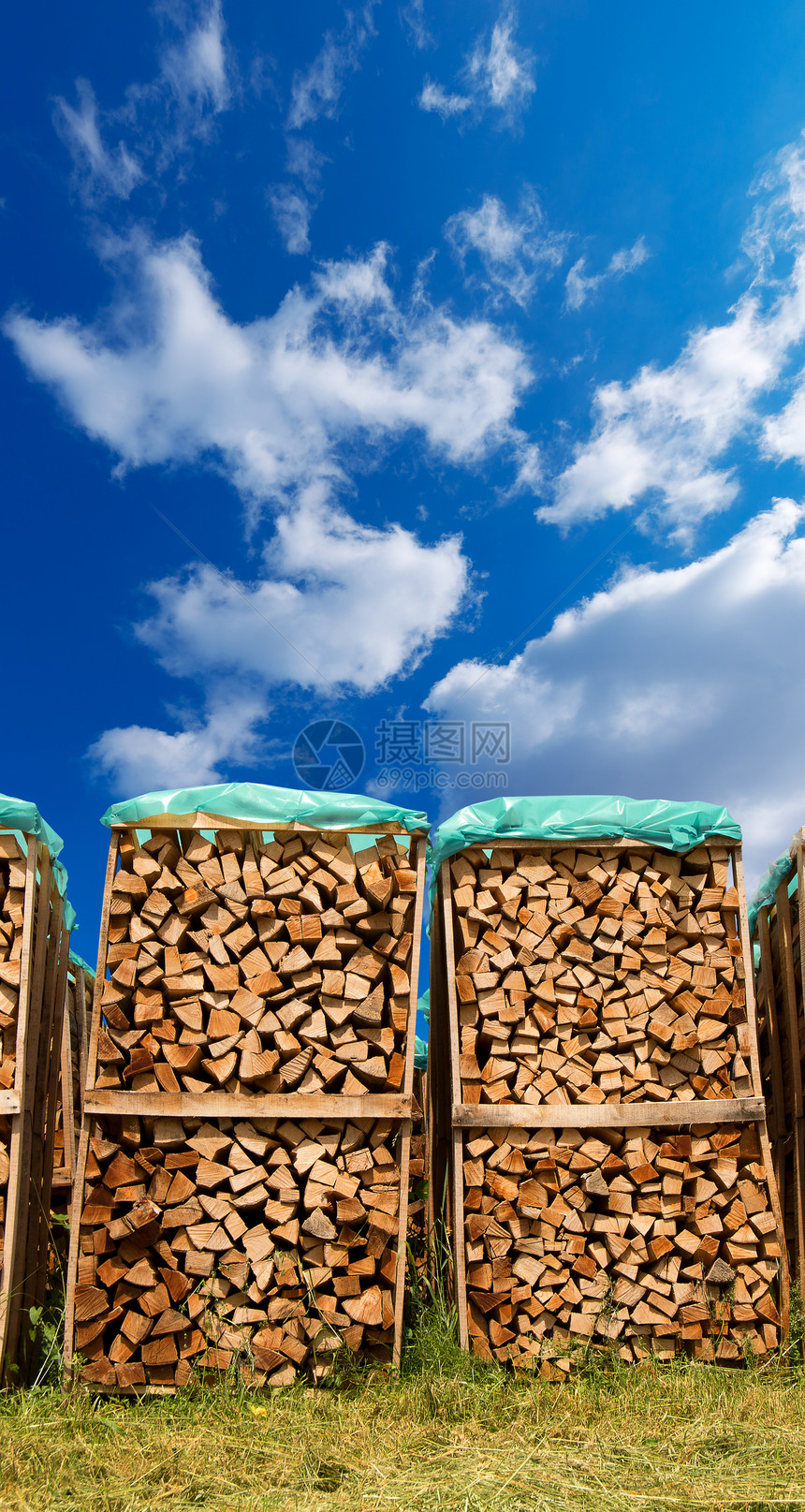 蓝天上的壁木坑松树柴堆材料环境能量林业森林燃料木材壁炉图片