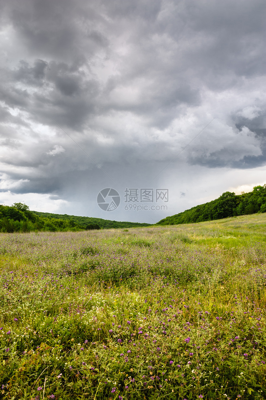 雨在草地上图片