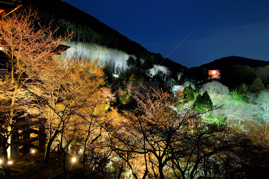 晚上的日本寺庙遗产地标天空历史旅行观光场景森林文化木头图片