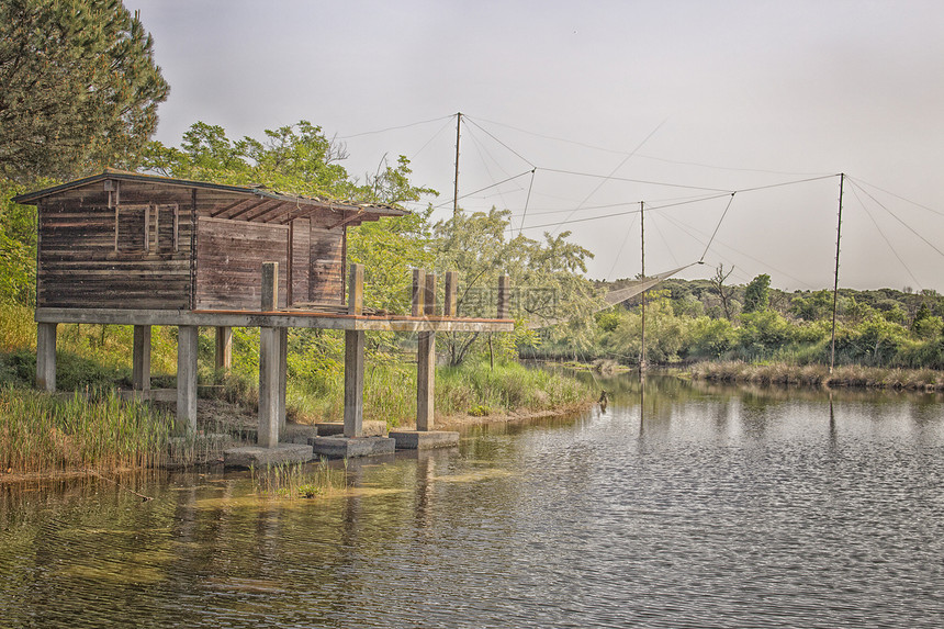 环礁湖上的渔船小屋植物码头松树树木窝棚燕麦分支机构松林森林树叶图片
