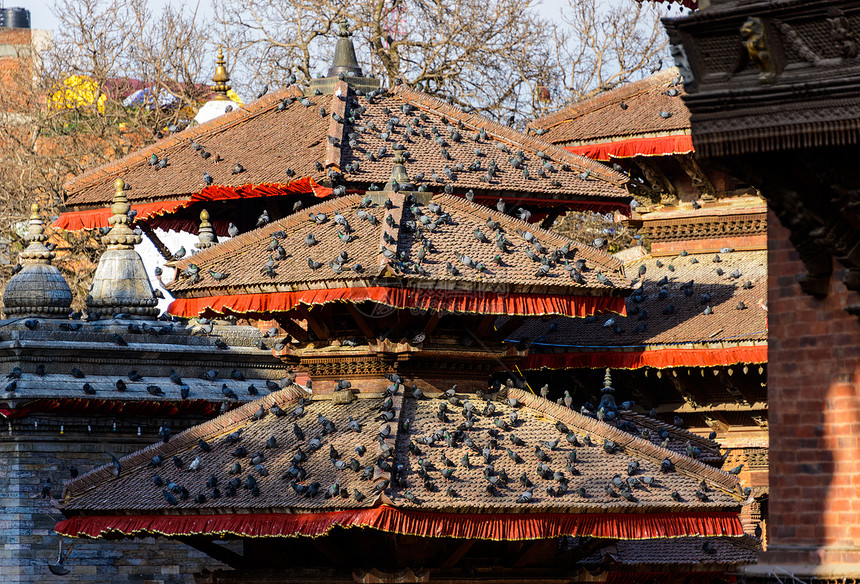 尼泊尔加德满都Durbar广场地标建筑学旅行寺庙信仰建筑正方形风景历史鸽子图片