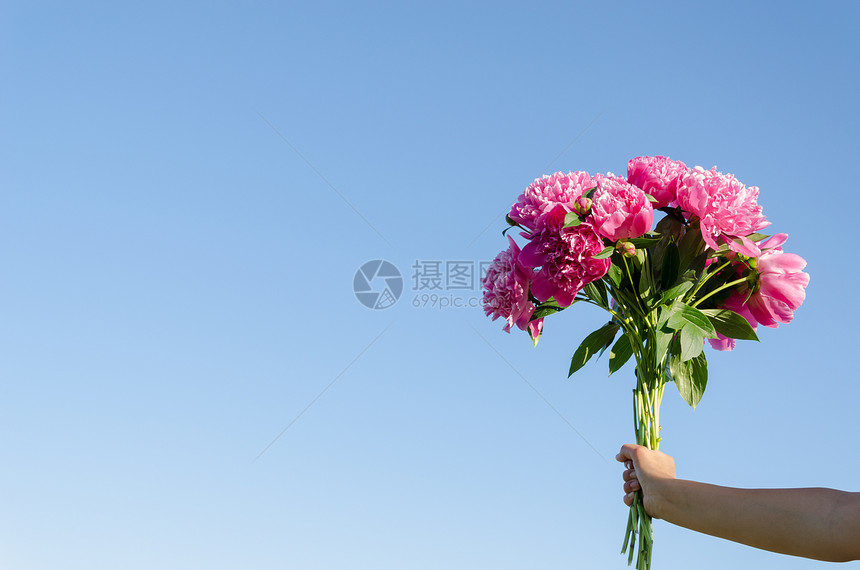 蓝色天空上女人手握的粉红色花束图片