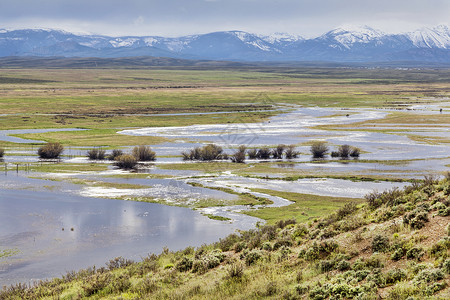 瓦尔登湖Arapaho 全国野生动物保护组织绿色河岸草地洪水背景