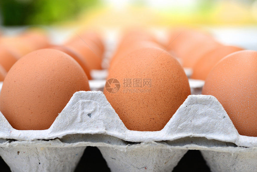 鸡蛋在纸箱里蛋盒乳制品摄影健康饮食食物纸盒棕蛋图片