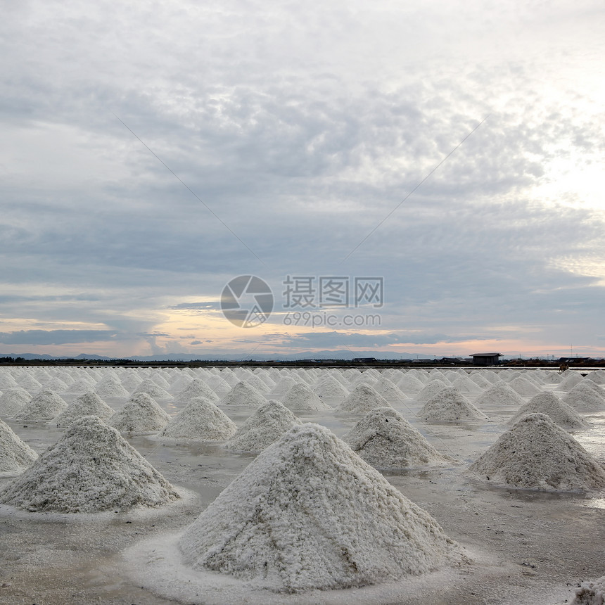 海盐农场土壤日出香料场地天空农民热带农业烘干图片