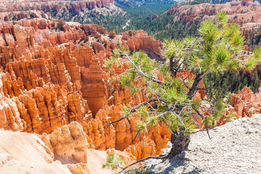 布莱斯峡谷沙漠假期国家天空红色荒野地质学吸引力地标游客图片