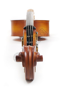 低动大提琴小提琴中提琴象弧音乐家音乐会音乐古典音乐木头乐器工作背景图片
