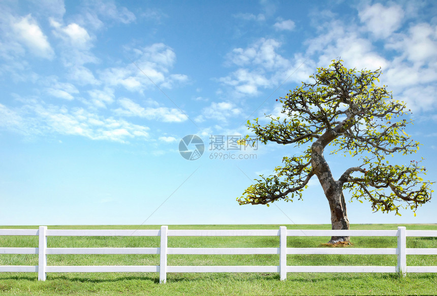 蓝天空绿草上的白栅栏天空农场木头公园花园草地树篱院子环境蓝色图片