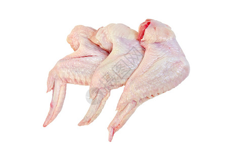 鸡翅白色翅膀家禽营养水平皮肤饮食高清图片