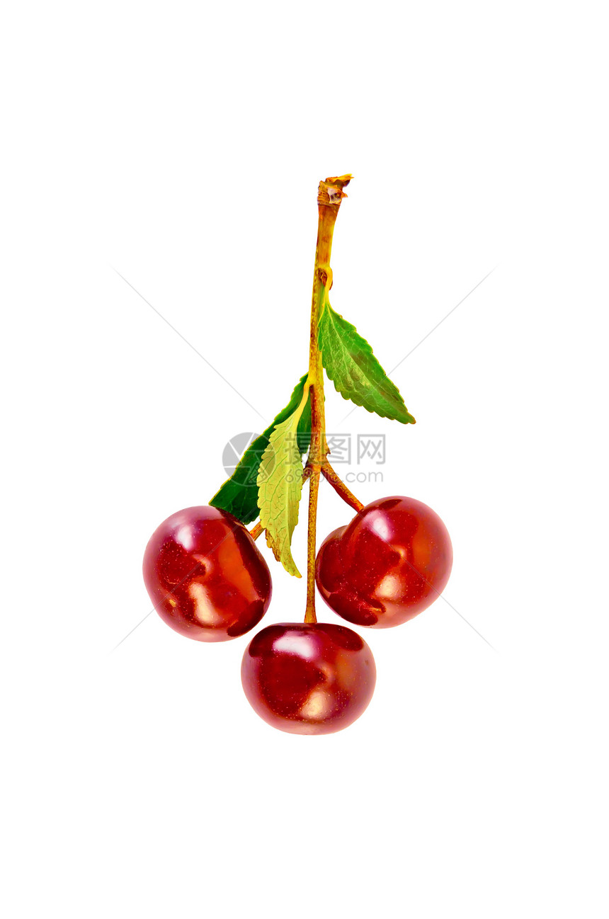 树枝上的樱桃水果营养浆果叶子红色饮食食物白色绿色图片