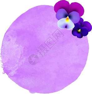 水彩色花朵邀请函海报墨水中提琴刷子紫色印迹卡片艺术三色背景图片