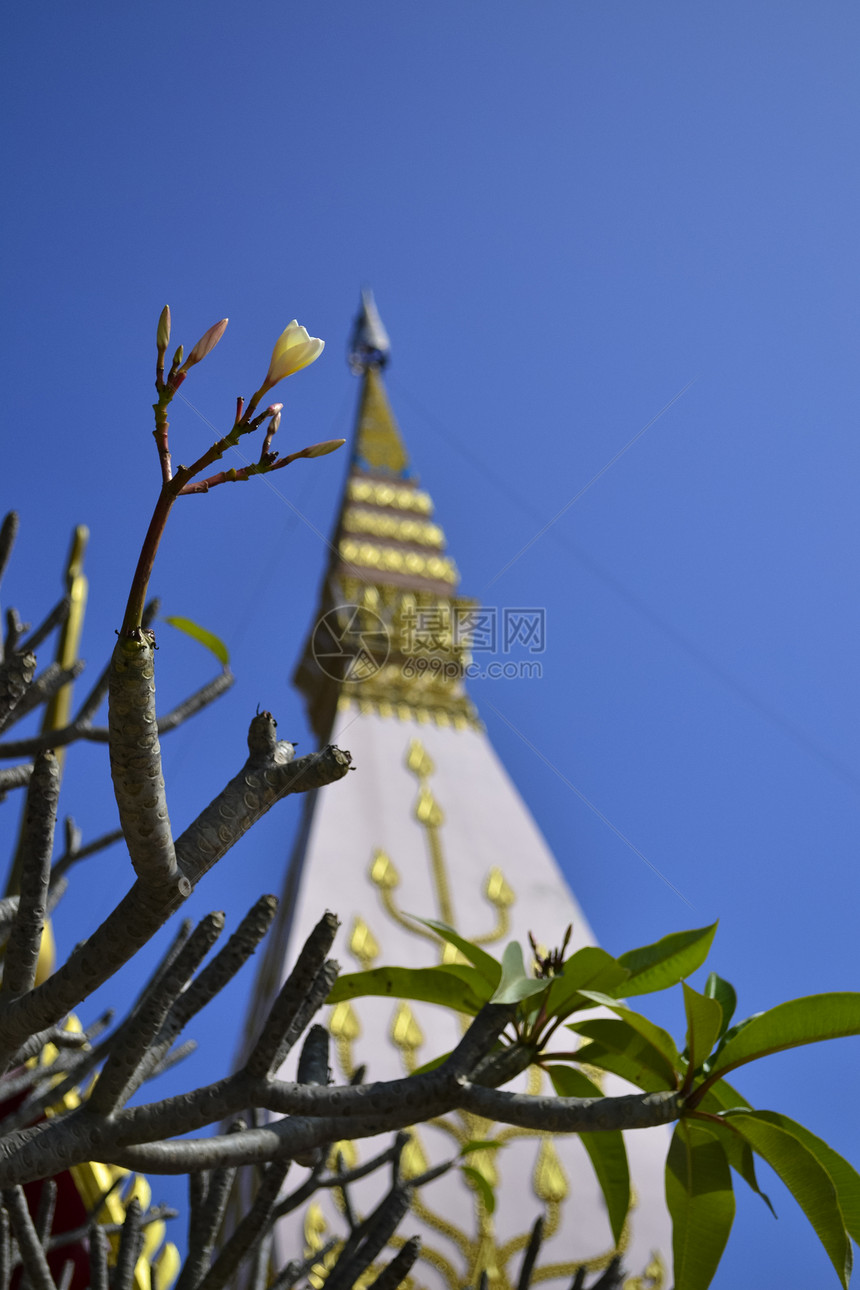 弗朗吉帕尼和帕塔宗教宝塔文化阳光花园建筑雕像鸡蛋花佛教徒旅游图片