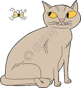 手绘猫咪课程表猫和蛾背景