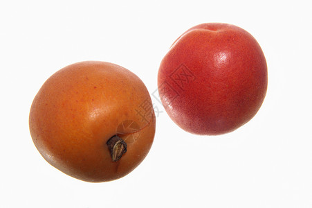 与世隔绝的饮食营养黄色水果桃子油桃食物杏子小吃红色背景图片