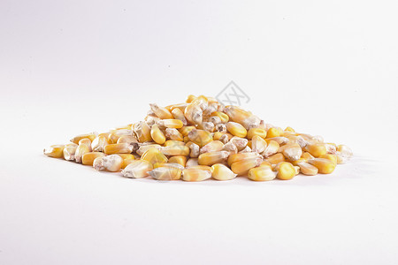 谷物 喂食玉米皮黄色种子饲料玉米水平物体画幅庄稼植物谷类背景图片